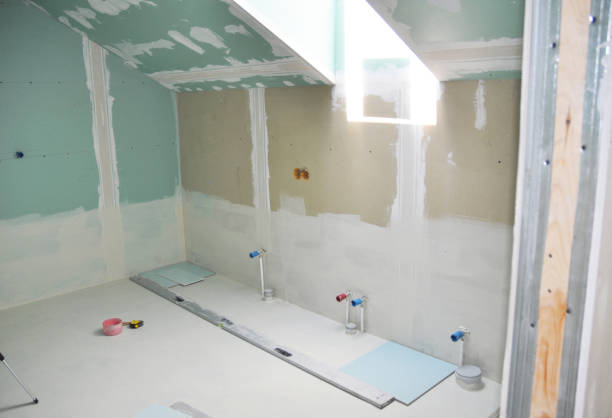 Best Mold Remediation for Healthcare Facilities  in Detroit Lakes, MN