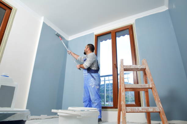 Best Attic Mold Removal  in Detroit Lakes, MN