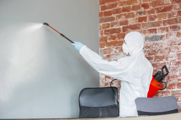 Best Indoor Air Quality Assessment  in Detroit Lakes, MN