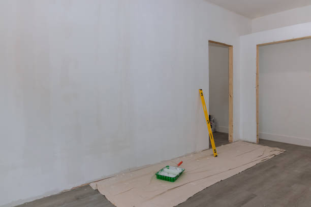 Detroit Lakes, MN Mold Removal Company