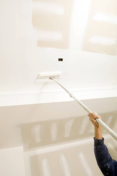 Best Post-Construction Mold Inspection  in Detroit Lakes, MN